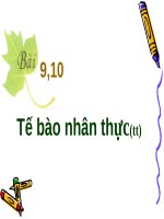 Bài 9. Tế bào nhân thực (tiếp theo)