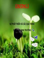 Bài 44. Sự phát triển của giới Thực vật