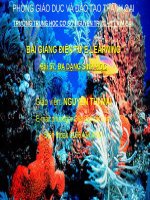 Bài 57. Đa dạng sinh học