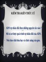 Bài 17. Mối quan hệ giữa gen và ARN