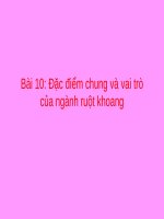 Bài 10. Đặc điểm chung và vai trò của ngành Ruột khoang