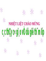 Bài 56. Cây phát sinh giới Động vật
