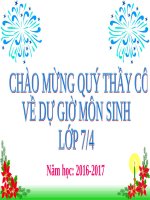 Bài 21. Đặc điểm chung và vai trò của ngành Thân mềm