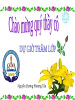 Bài 13. Máu và môi trường trong cơ thể