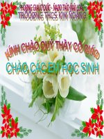 Bài 16. Thực hành: Mổ và quan sát giun đất
