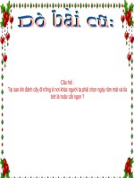 Bài 25. Biến dạng của lá