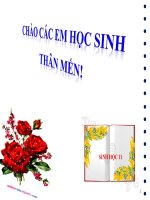 Bài 11. Quang hợp và năng suất cây trồng