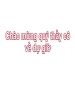 Bài 29. Đặc điểm chung và vai trò của ngành Chân khớp