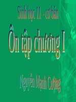 Bài 22. Ôn tập chương I