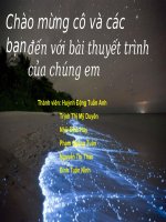 Bài 9. Tế bào nhân thực (tiếp theo)