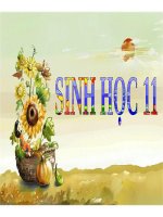 Bài 25. Thực hành: Hướng động