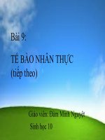 Bài 9. Tế bào nhân thực (tiếp theo)