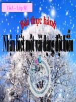 Bài 26. Thực hành: Nhận biết một vài dạng đột biến