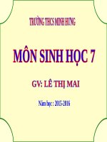 Bài 48. Đa dạng của lớp Thú: Bộ Thú huyệt, bộ Thú túi