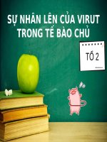 Bài 30. Sự nhân lên của virut trong tế bào chủ