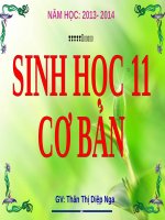 Bài 27. Cảm ứng ở động vật (tiếp theo)