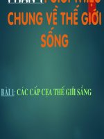 Bài 1. Các cấp tổ chức của thế giới sống