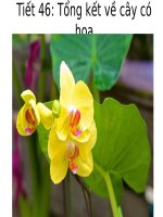 Bài 36. Tổng kết về cây có hoa