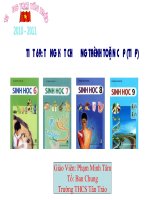 Bài 65. Tổng kết chương trình toàn cấp (tiếp theo)