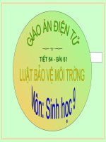 Bài 61. Luật Bảo vệ môi trường