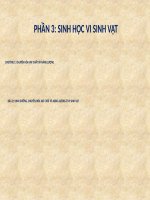 Bài 22. Dinh dưỡng, chuyển hóa vật chất và năng lượng ở vi sinh vật