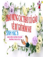 Bài 36. Tổng kết về cây có hoa