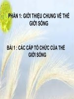 Bài 1. Các cấp tổ chức của thế giới sống