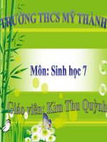 Bài 35. Ếch đồng