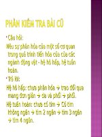 Bài 55. Tiến hoá về sinh sản