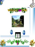 Bài 64. Các bệnh lây truyền qua đường sinh dục (bệnh tình dục)