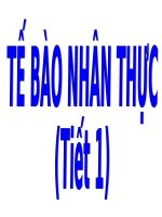 Bài 9. Tế bào nhân thực (tiếp theo)