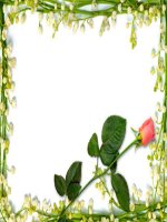 Bài 19. Thực hành: Sơ cứu cầm máu