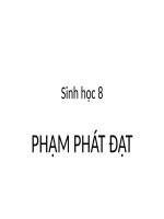 Bài 14. Bạch cầu- Miễn dịch