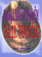 Bài 56. Cây phát sinh giới Động vật