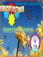 Bài 26. Thực hành: Nhận biết một vài dạng đột biến