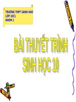 quá trình phân giải các chất: quy trình làm tương hột