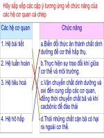 Bài 34. Đa dạng và đặc điểm chung của các lớp Cá