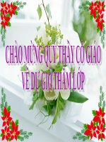 Bài 13. Máu và môi trường trong cơ thể