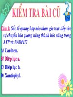 Bài 9. Quang hợp ở các nhóm thực vật C3, C4 và CAM