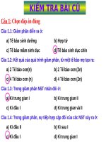 Bài 11. Phát sinh giao tử và thụ tinh