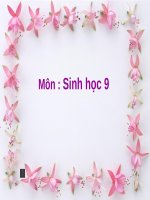 Bài 34. Thoái hoá do tự thụ phấn và do giao phối gần