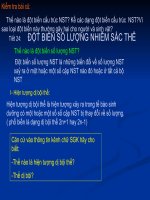 Bài 24. Đột biến số lượng nhiễm sắc thể (tiếp theo)