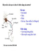 Bài 43. Giới thiệu chung hệ thần kinh