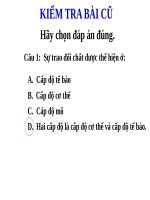 Bài 38. Bài tiết và cấu tạo hệ bài tiết nước tiểu