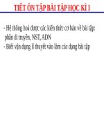 Bài 40. Ôn tập phần Di truyền và biến dị