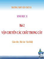 Bài 2. Vận chuyển các chất trong cây