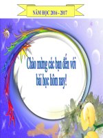 Bài 14. Enzim và vai trò của enzim trong quá trình chuyển hóa vật chất