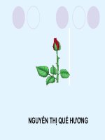 Bài 27. Tiêu hóa ở dạ dày