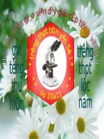 Bài 12. Thực hành: Thí nghiệm co và giảm co nguyên sinh