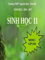 Bài 29. Điện thế hoạt động và sự lan truyền xung thần kinh